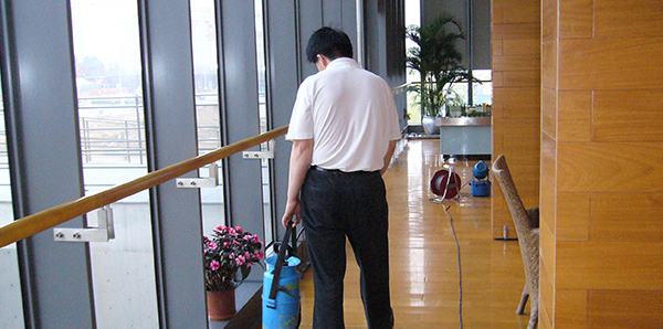 北京除蟑螂公（gōng）司，蟑螂為（wéi）何叫“小強”—蟑螂的居（jū）所